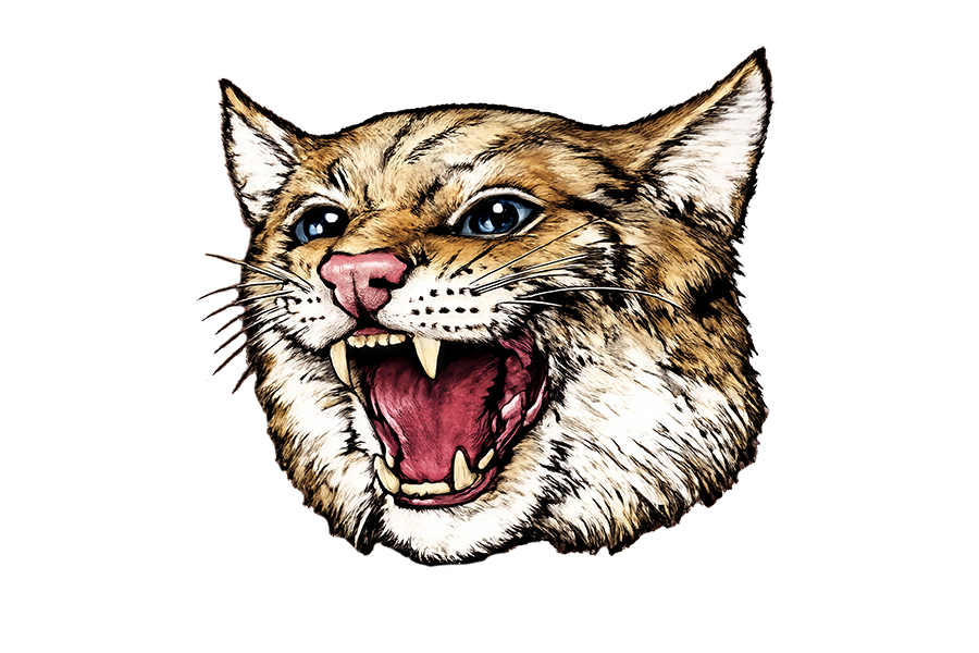 Sherman Central School wildcat logo